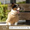 【ポイント20倍】☆楽天ランキング1位☆ラッピング無料犬服洋服犬服犬の服ドッグウェアペットウェア小型犬ダックスあす楽メール便送料無料冬防寒誕生日記念日父の日母の日ホワイトデープレゼントボアフリース日本製トレーナーもこもこ暖かい