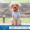 【ポイント20倍】☆楽天ランキング1位獲得☆ラッピング無料犬服犬服犬の服ドッグウェアペットウェア小型犬ダックスフンドあす楽メール便送料無料誕生日記念日ギフトプレゼント贈り物ペアルックお揃い綿日本製父の日母の日