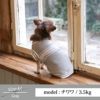 【ポイント20倍】【愛犬と飼い主様用のセーターのセット1000円引き】ラッピング無料犬洋服犬服犬の服ドッグウェア小型犬防寒冬犬友あす楽送料無料誕生日記念日プレゼントギフト贈り物ペアルックお揃い綿コットンニット日本製暖かい父の日母の日