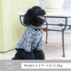 Vague 犬 服 洋服 ドッグウェア ペットウェア 小型犬 ダックス チェック ネル シャツ 春 秋 冬 ボタン 綿 コットン おしゃれ かっこいい 