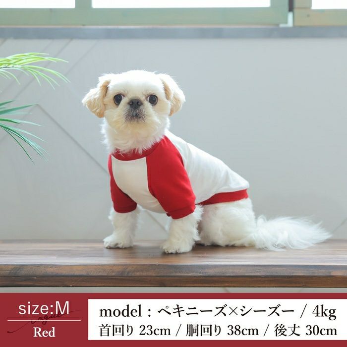 【犬服とレディースのTシャツセット500円引き】お揃いペアルック犬服洋服犬服犬の服ドッグウェアペット小型犬フレブルダックスあす楽メール便送料無料誕生日記念日春夏ギフトプレゼントラッピング無料綿コットン日本製国産ラグラン