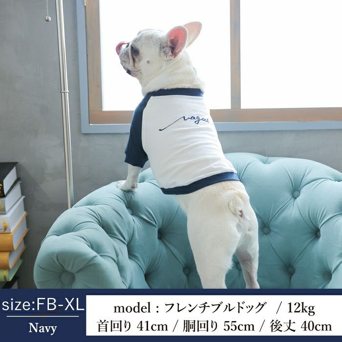 【犬服とレディースのTシャツセット500円引き】お揃いペアルック犬服洋服犬服犬の服ドッグウェアペット小型犬フレブルダックスあす楽メール便送料無料誕生日記念日春夏ギフトプレゼントラッピング無料綿コットン日本製国産ラグラン