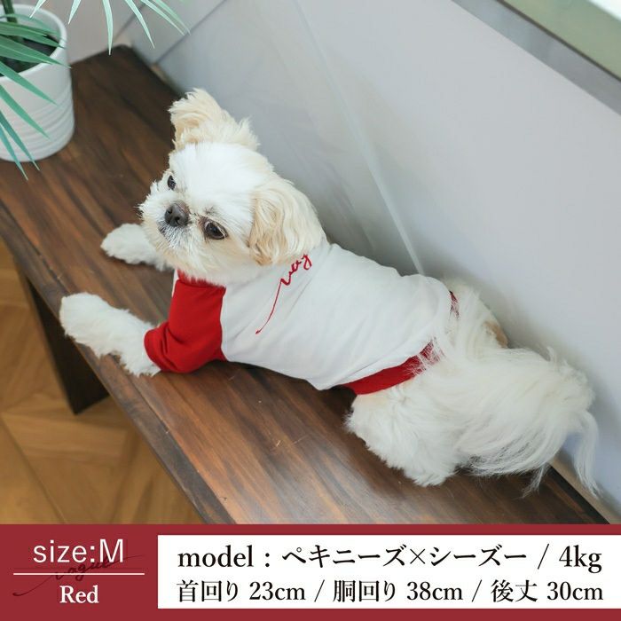 【犬服とメンズのTシャツセット500円引き】お揃いペアルック犬服洋服犬服犬の服ドッグウェアペット小型犬フレブルダックスあす楽メール便送料無料誕生日記念日春夏ギフトプレゼントラッピング無料綿コットン日本製国産ラグランユニセックス