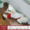 【犬服とメンズのTシャツセット500円引き】お揃いペアルック犬服洋服犬服犬の服ドッグウェアペット小型犬フレブルダックスあす楽メール便送料無料誕生日記念日春夏ギフトプレゼントラッピング無料綿コットン日本製国産ラグランユニセックス