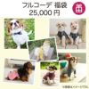 【12/1販売開始】【1/1お届け】2023年 Vague フルコーデ 福袋 犬 洋服 犬服 犬の服 ドッグウェア 小型犬 フレブル ダックス ハッピーバッグ 送料無料 誕生日 記念日 クリスマス ギフト 贈り物 プレゼント ラッピング メッセージカード 日本製 綿 コットン フルコーデ