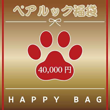 【12/1販売開始】【1/1お届け】2023年 Vague ペアルック 福袋 犬 洋服 犬服 犬の服 ドッグウェア 小型犬 フレブル ダックス 送料無料 福袋 ハッピーバッグ 誕生日 記念日 クリスマス ギフト プレゼント ラッピング 日本製 綿 コットン お揃い ペアルック 女性 男性
