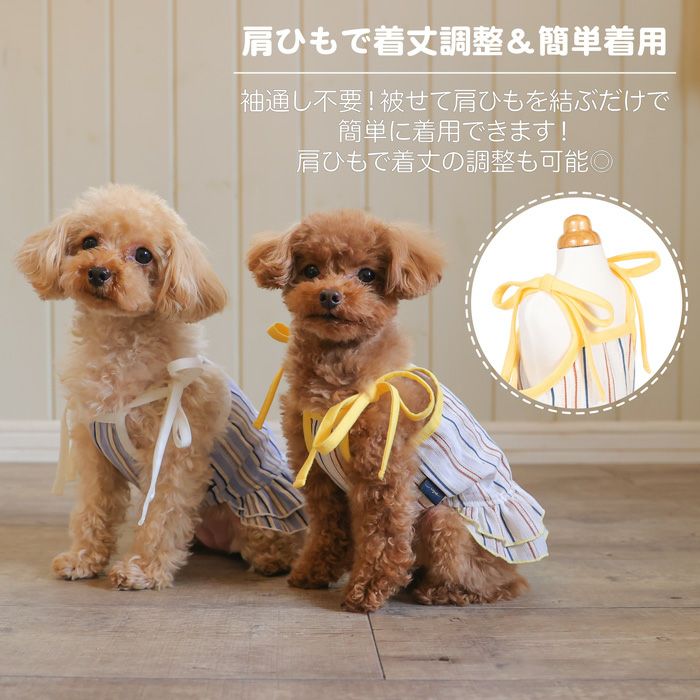 本日限定価格 French poodle いや fur リボンジャケット
