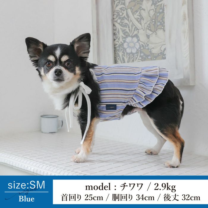 Vague 犬 服 犬の服 ドッグウェア ペットウェア 小型犬 フレブル ダックス 肩ひも リボン ワンピース ドレス フリル スカート かわいい おしゃれ 綿 コットン 春 夏 秋 メス 女の子