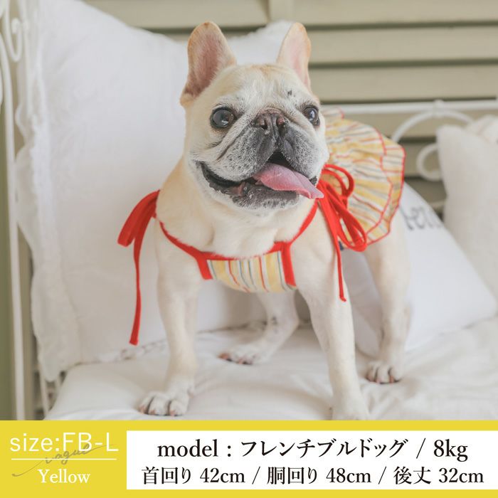 Vague 犬 服 犬の服 ドッグウェア ペットウェア 小型犬 フレブル ダックス 肩ひも リボン ワンピース ドレス フリル スカート かわいい おしゃれ 綿 コットン 春 夏 秋 メス 女の子